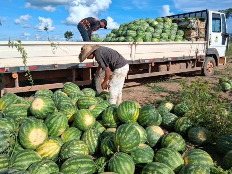 1766071763whatsapp image 2025 12 18 at