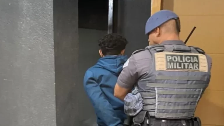 176607776369443543ce6e4