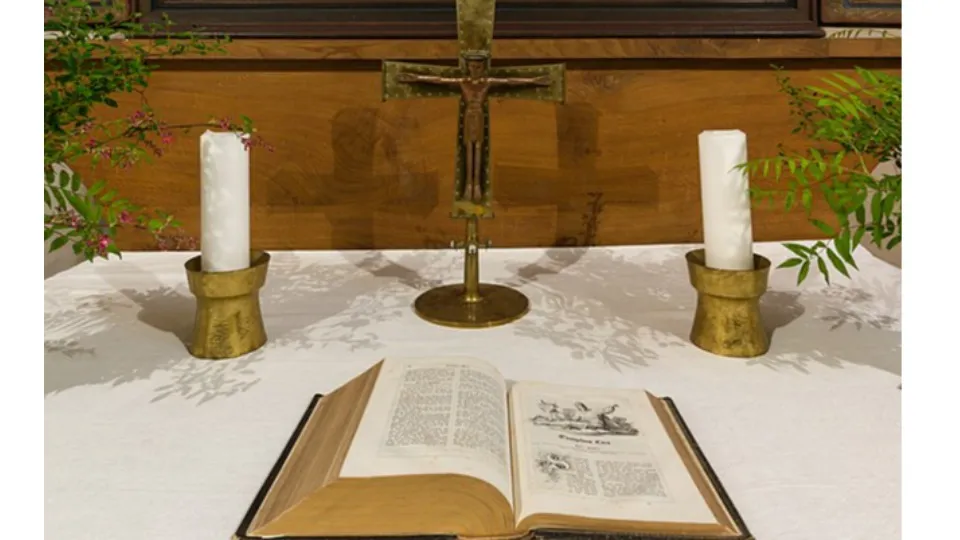 1766597844694c24d4bf0b4