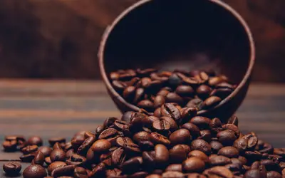 7Kb5Xuw6se2FjWBpoaALPLpg