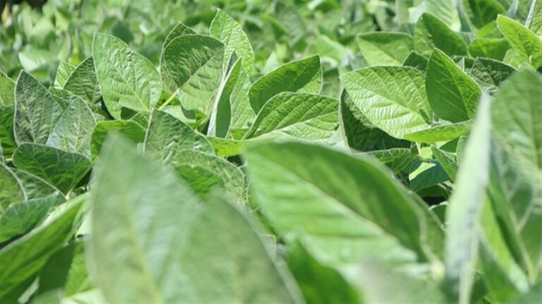 B67aff34433843e7aeb0f099b4d1f704 858x483